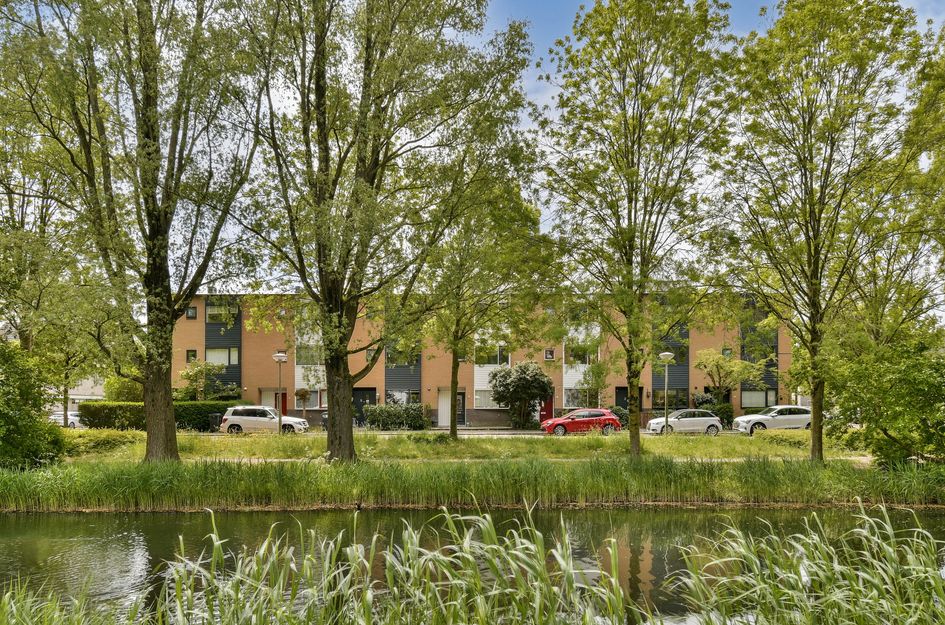 Louis Couperussingel 4