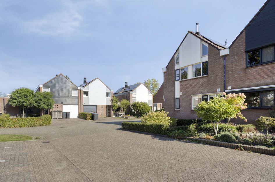 De Buizerd 46