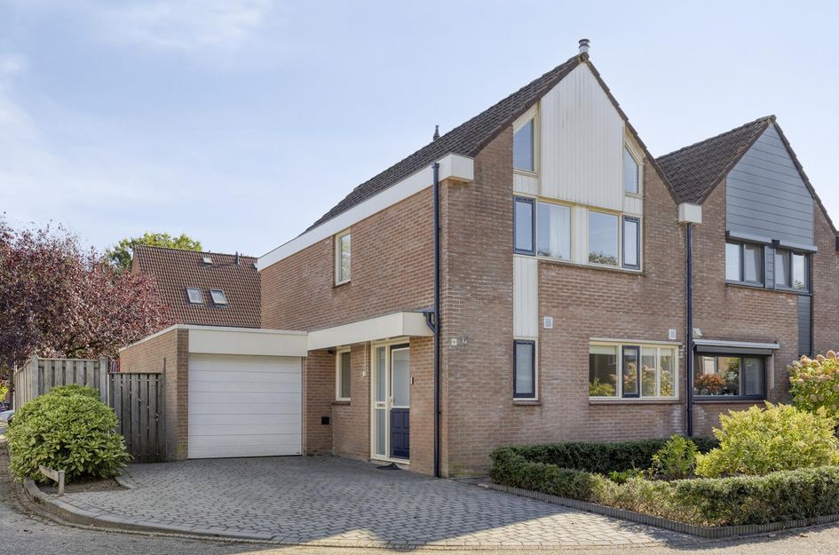 De Buizerd 46