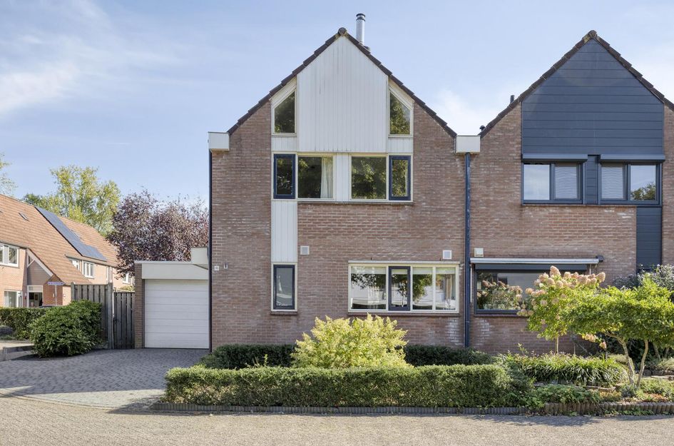 De Buizerd 46