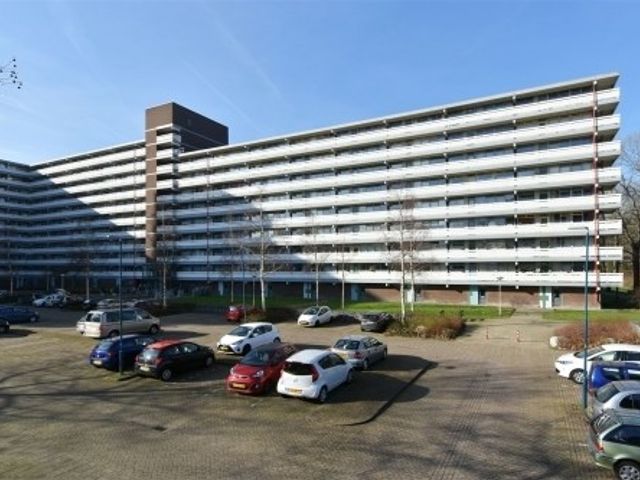 Belvédèrebos , Zoetermeer