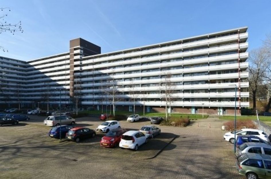 Belvédèrebos 