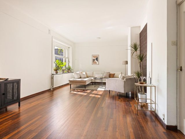 Raphaëlplein 5, Amsterdam