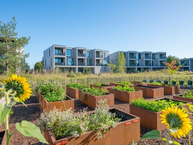 Zandheuvel 26, Silvolde