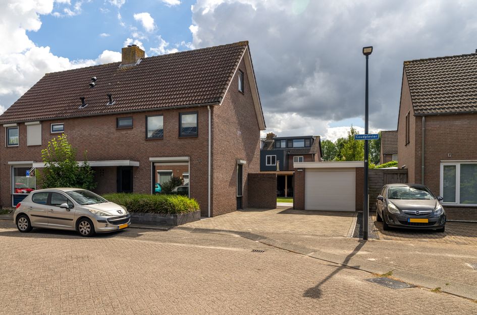 Goudplevier 38