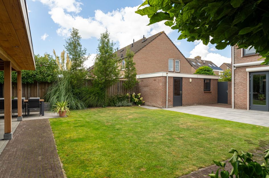 Goudplevier 38