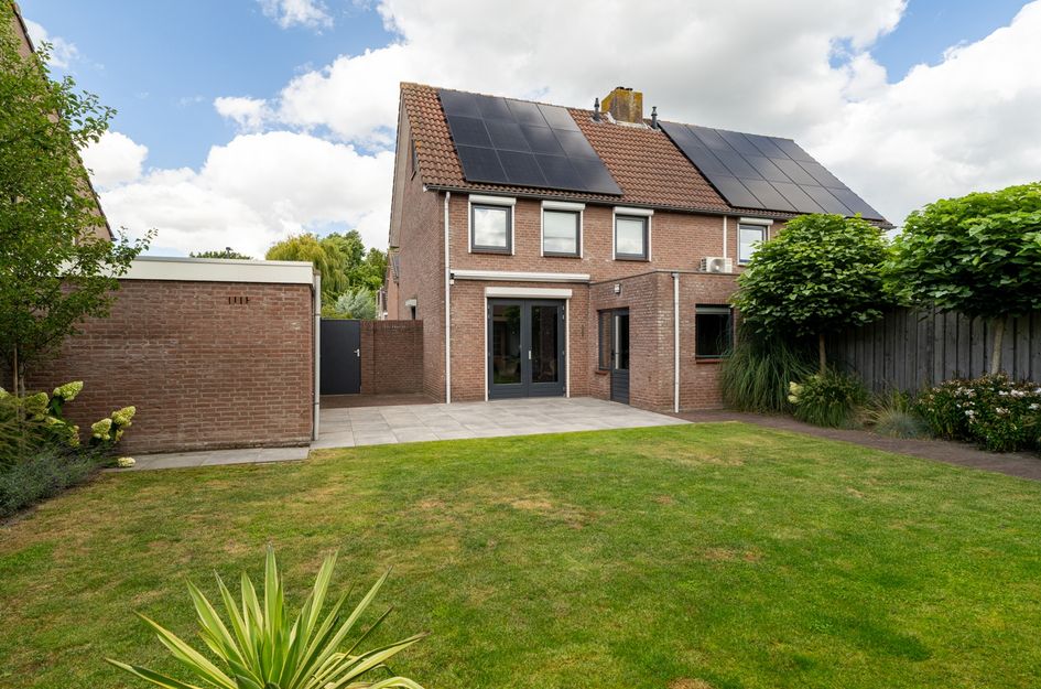 Goudplevier 38