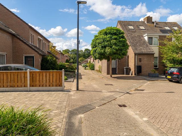 Goudplevier 38, Waspik