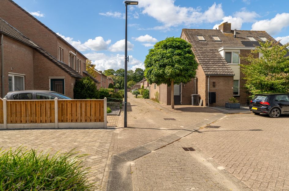 Goudplevier 38
