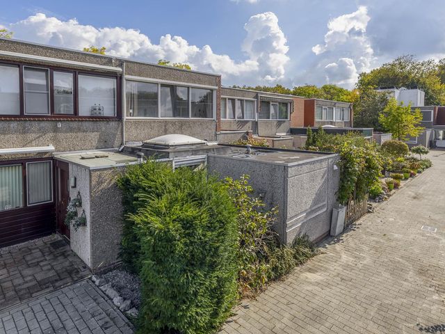 Azarooldoorn 12, Rotterdam