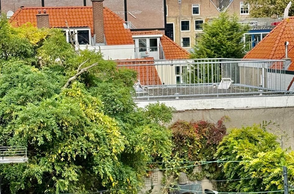 Lange Beestenmarkt 82B