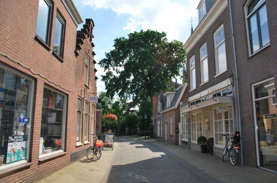 Treubstraat 2