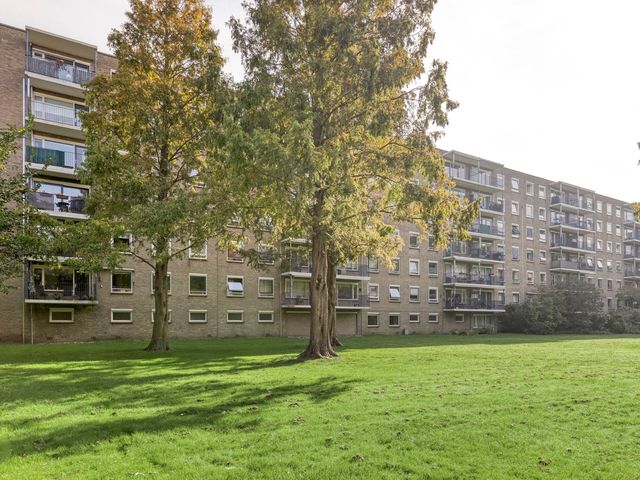 Aert van Neslaan 215, Oegstgeest
