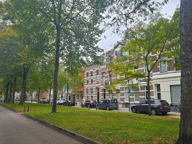 Avenue Concordia 38A, Rotterdam