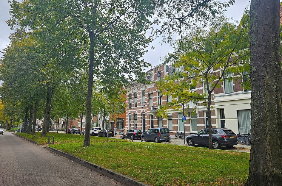 Avenue Concordia 38A