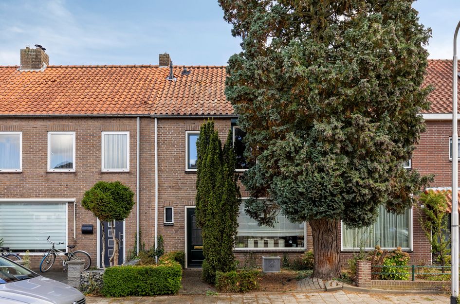 Kamillehof 7