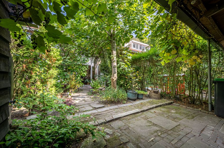 Graaf Lodewijkstraat 14