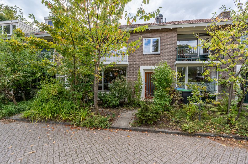 Graaf Lodewijkstraat 14