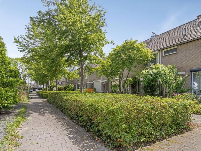 Hazelaarstraat 117, Puttershoek