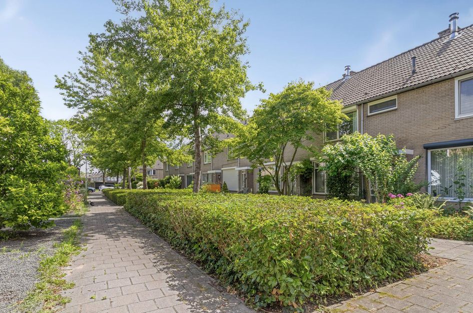Hazelaarstraat 117