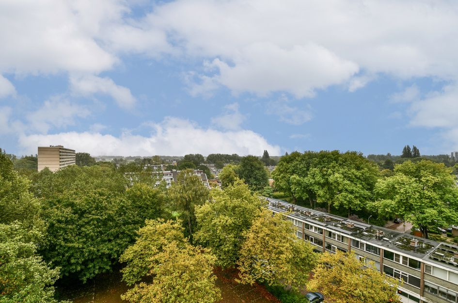 Max Havelaarlaan 557