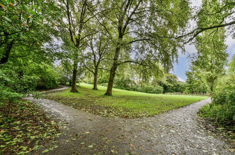 Max Havelaarlaan 557