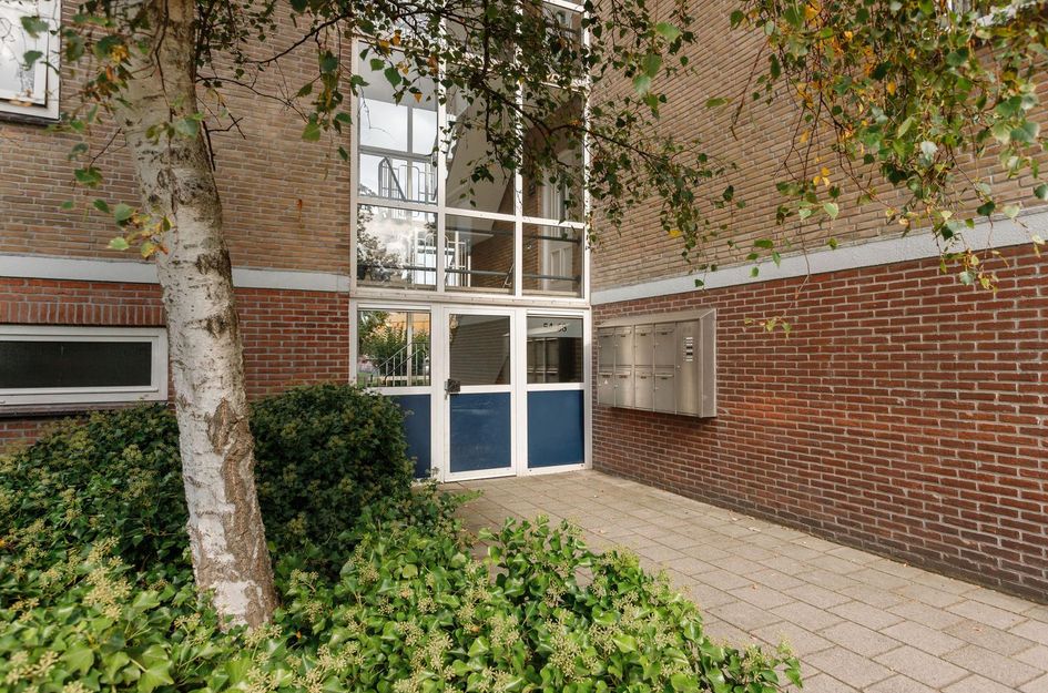 Ruysdaelstraat 68