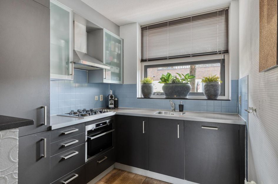 Bieslookstraat 19