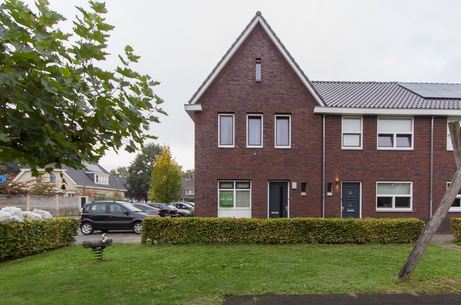 Dorsvlegel 1
