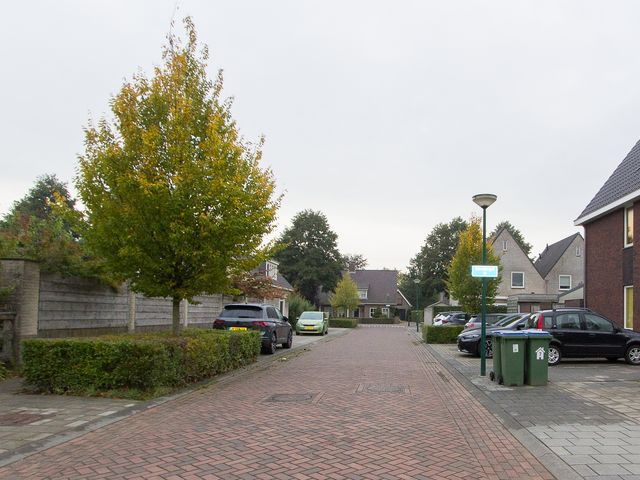 Dorsvlegel 1, De Moer
