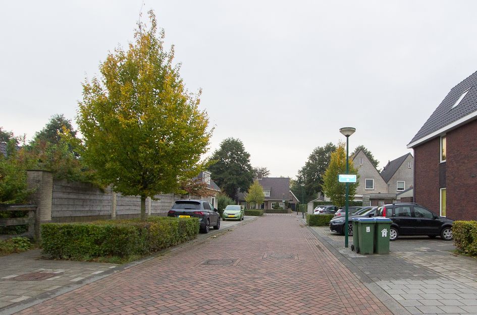 Dorsvlegel 1
