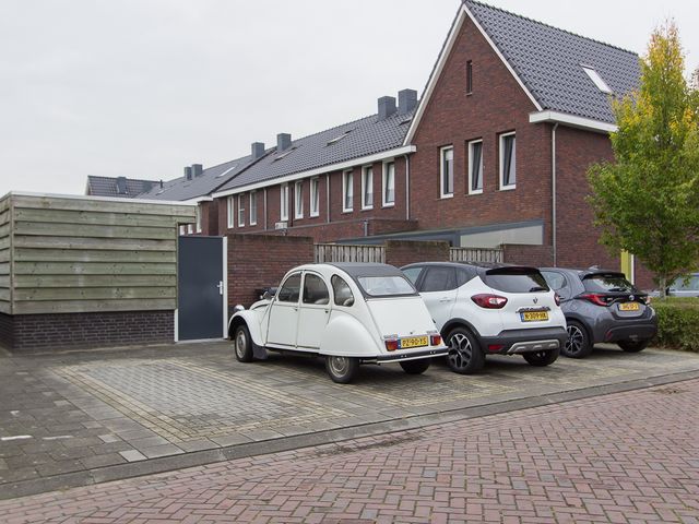 Dorsvlegel 1, De Moer