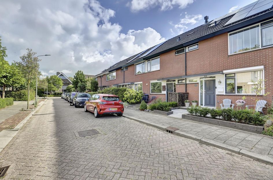 Pelikaan 19