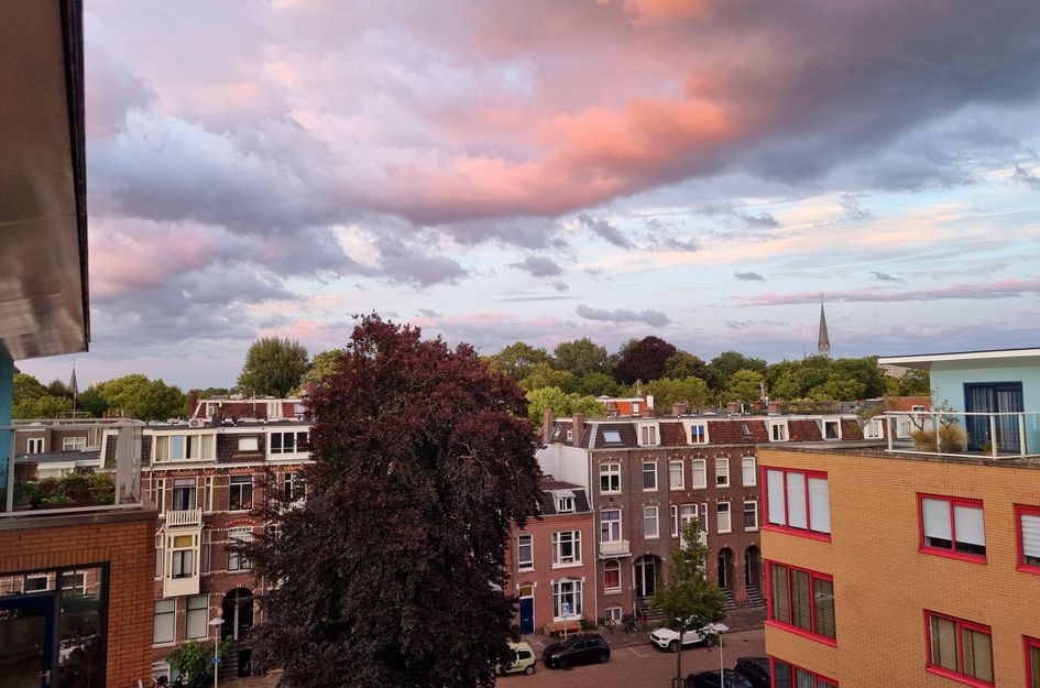Hartingstraat 138