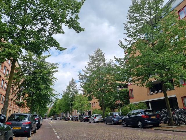 Hartingstraat 138, Utrecht
