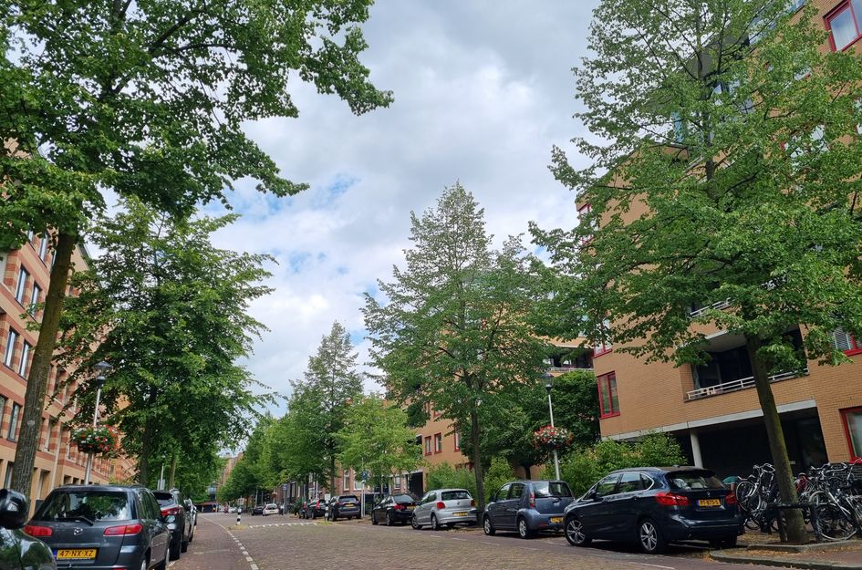 Hartingstraat 138