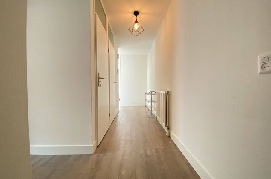 Hartingstraat 166