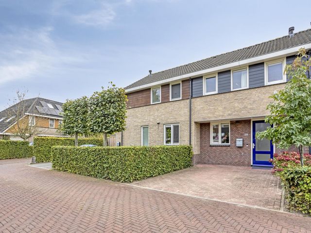 Tusculum 29, Herveld