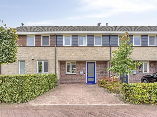 Tusculum 29, Herveld