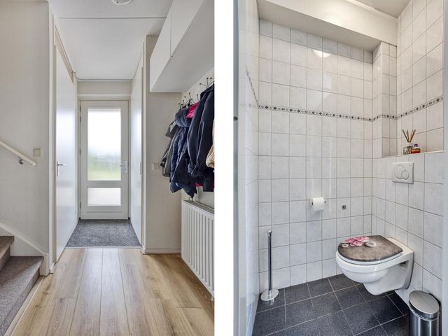 Tusculum 29, Herveld