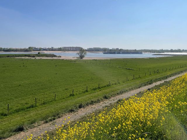 Waalbandijk , Ochten