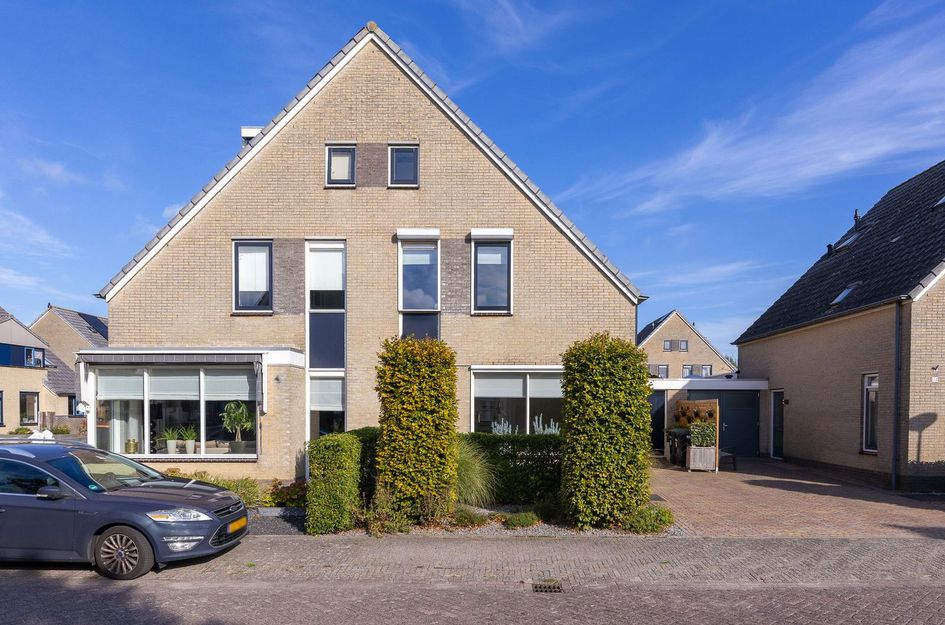 Dorsvlegel 36