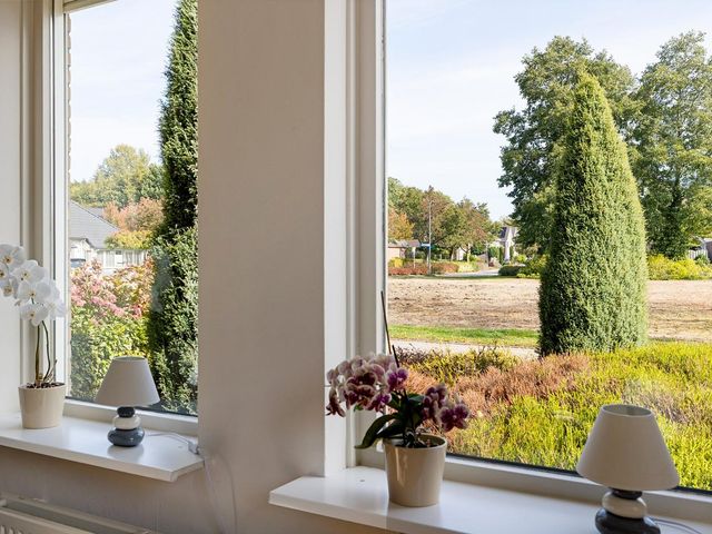 Braambos 10, Sleen