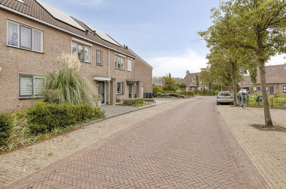 Ligusterstraat 6