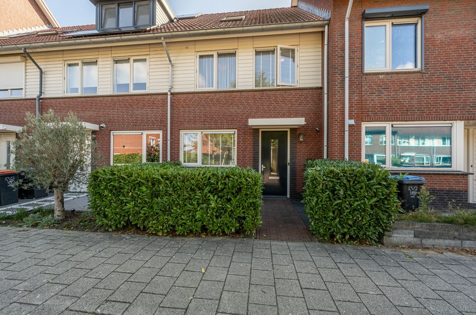 Goudzoeker 22