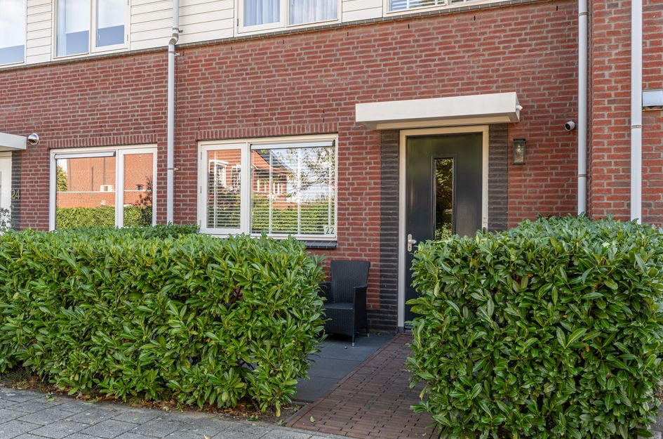 Goudzoeker 22