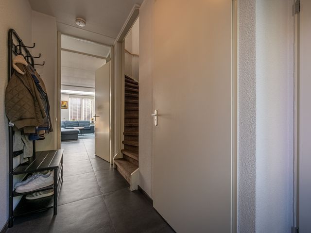 Goudzoeker 22, Rhoon