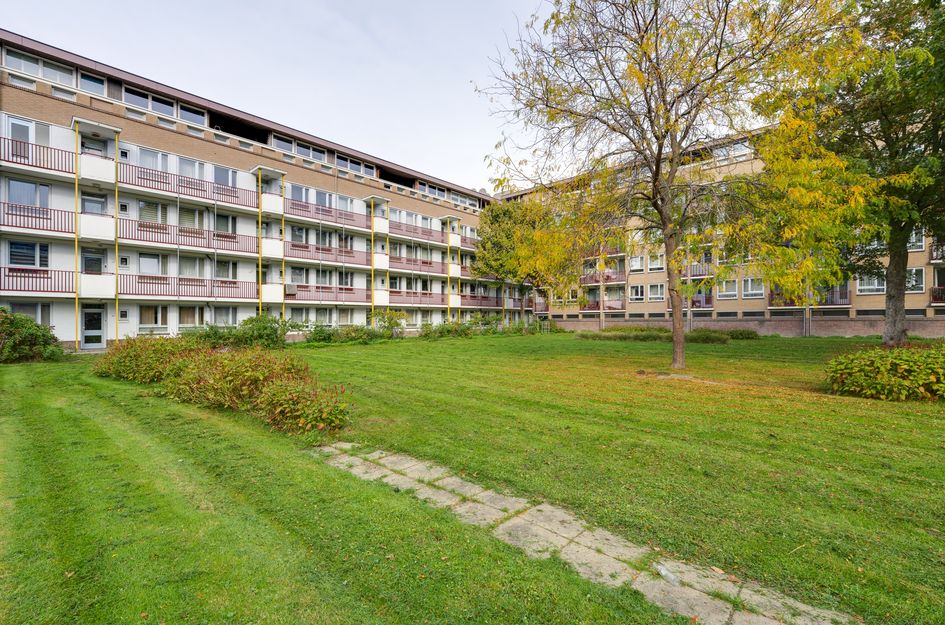 Aalbersestraat 242A