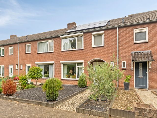 Bachlaan 39, Terneuzen