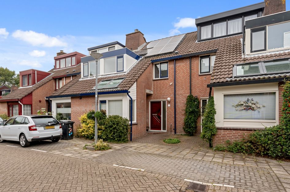 Zevengetijdeklaver 17